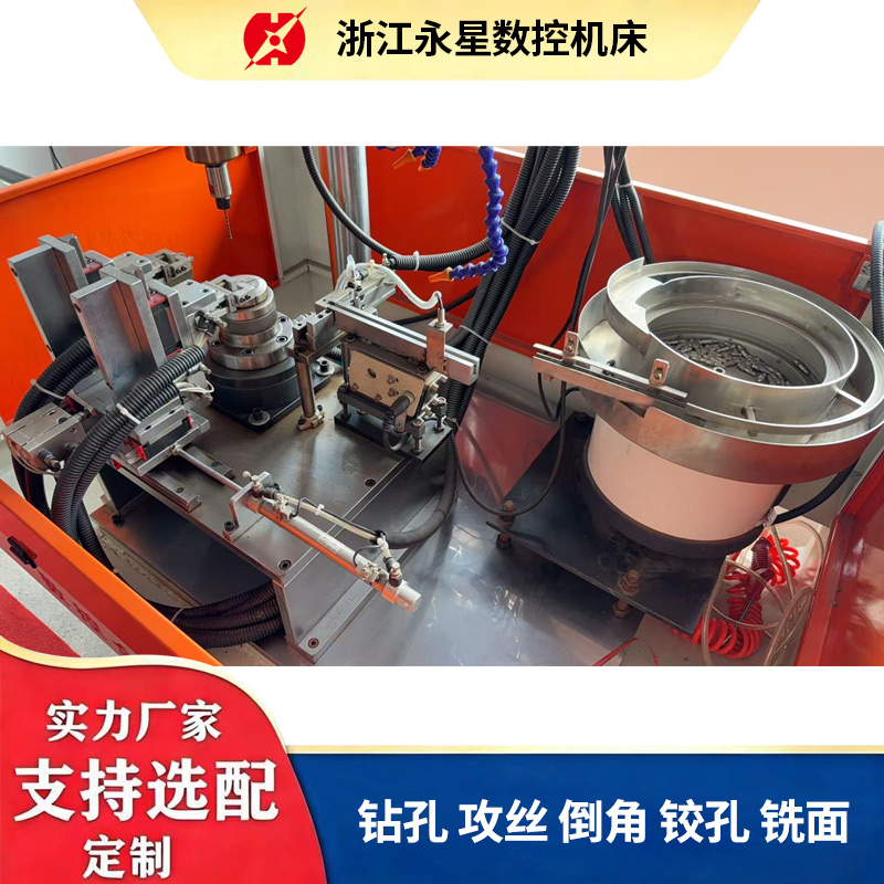 Customized Special Machine