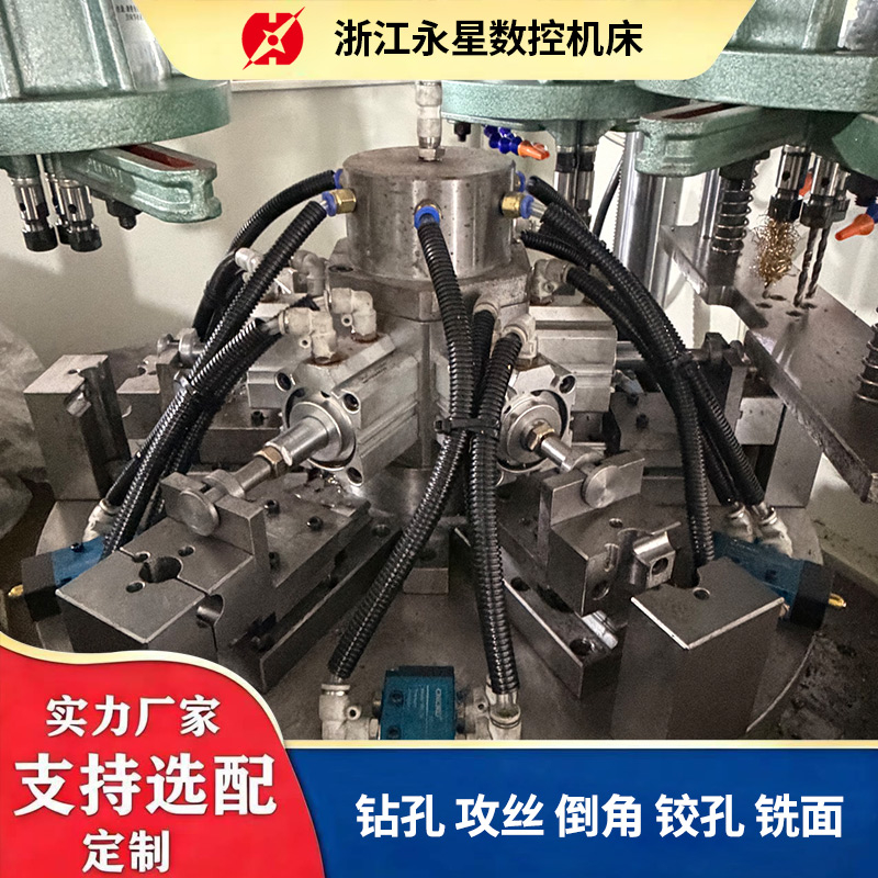 Customized Special Machine