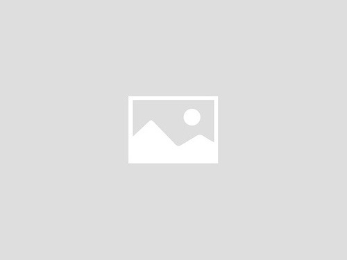 马力小、精度高、操作方便的台钻